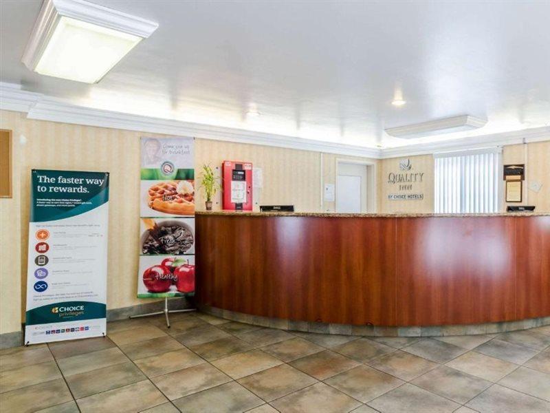Quality Inn Chicopee-Springfield מראה חיצוני תמונה