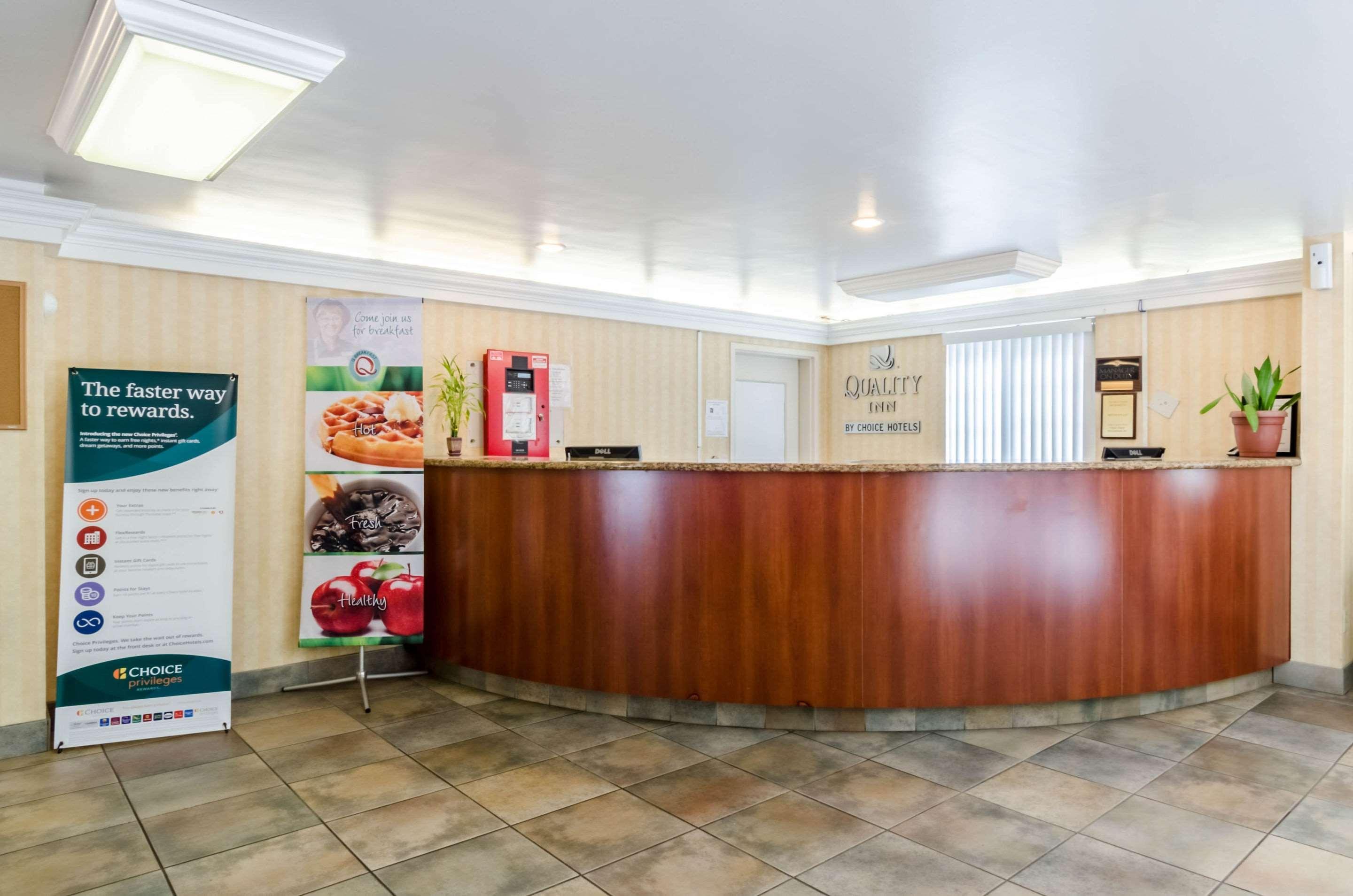 Quality Inn Chicopee-Springfield מראה חיצוני תמונה